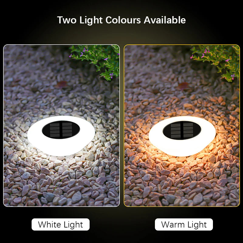 1/4 Pack Solar Ground Lights