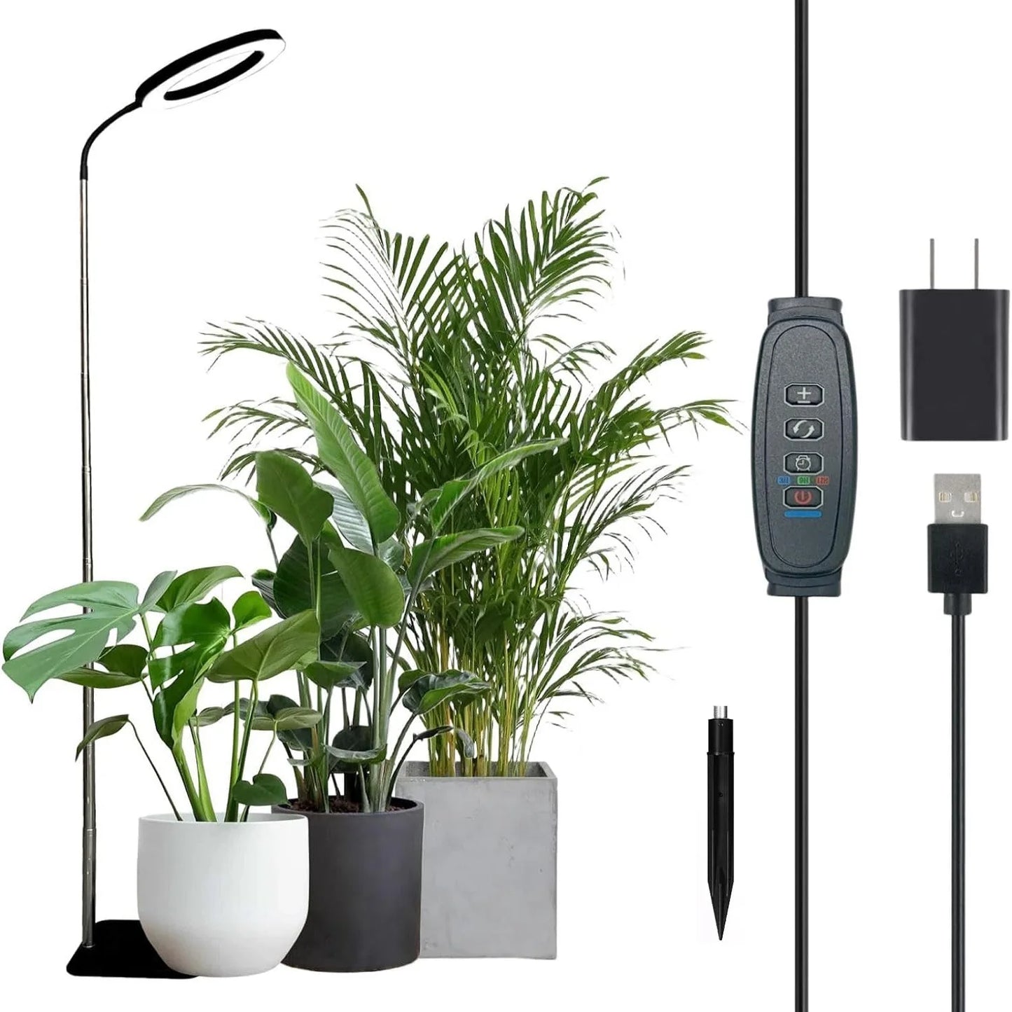 Full Spectrum Halo Plants & Floor Lamp