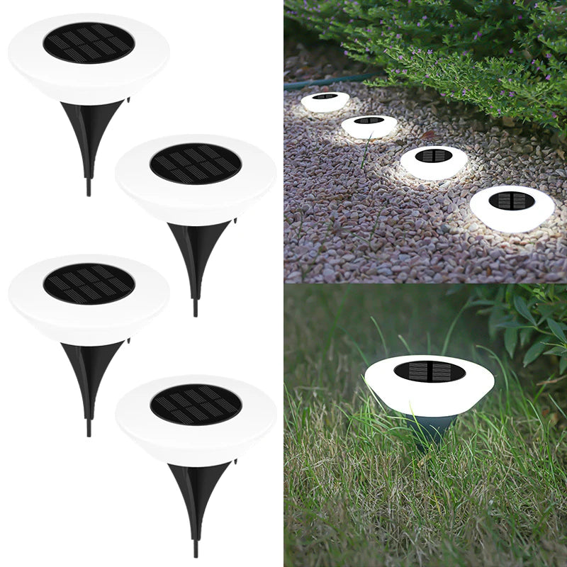 1/4 Pack Solar Ground Lights