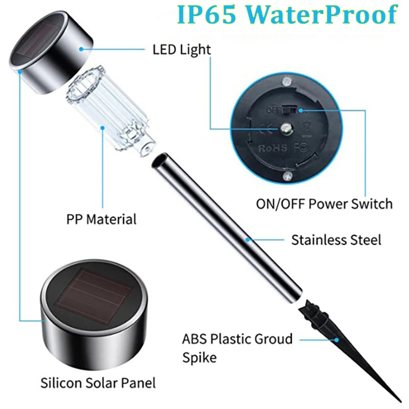 Backyard Solar Lights