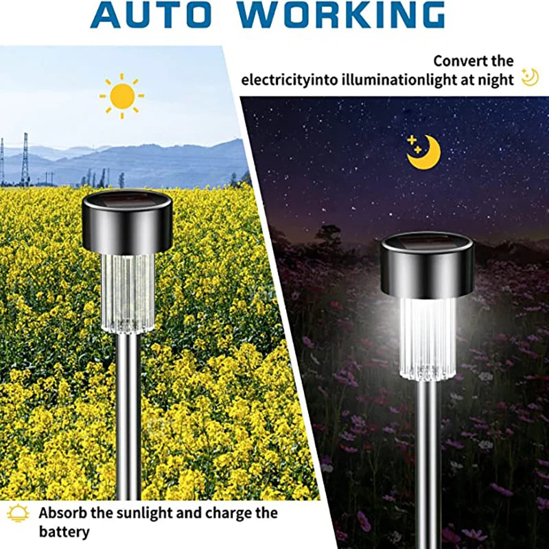 Backyard Solar Lights