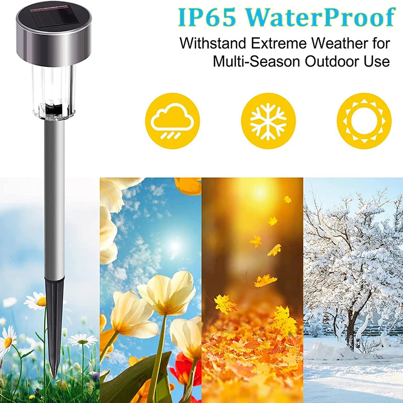 Backyard Solar Lights