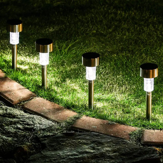 Backyard Solar Lights