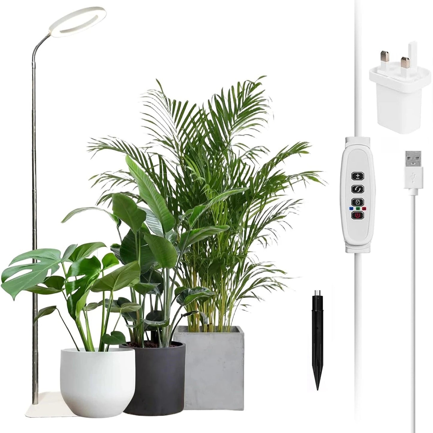 Full Spectrum Halo Plants & Floor Lamp