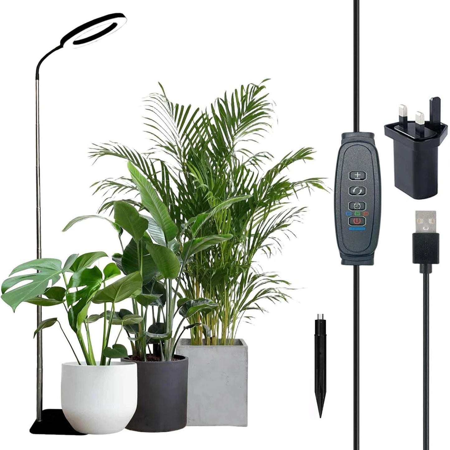 Full Spectrum Halo Plants & Floor Lamp