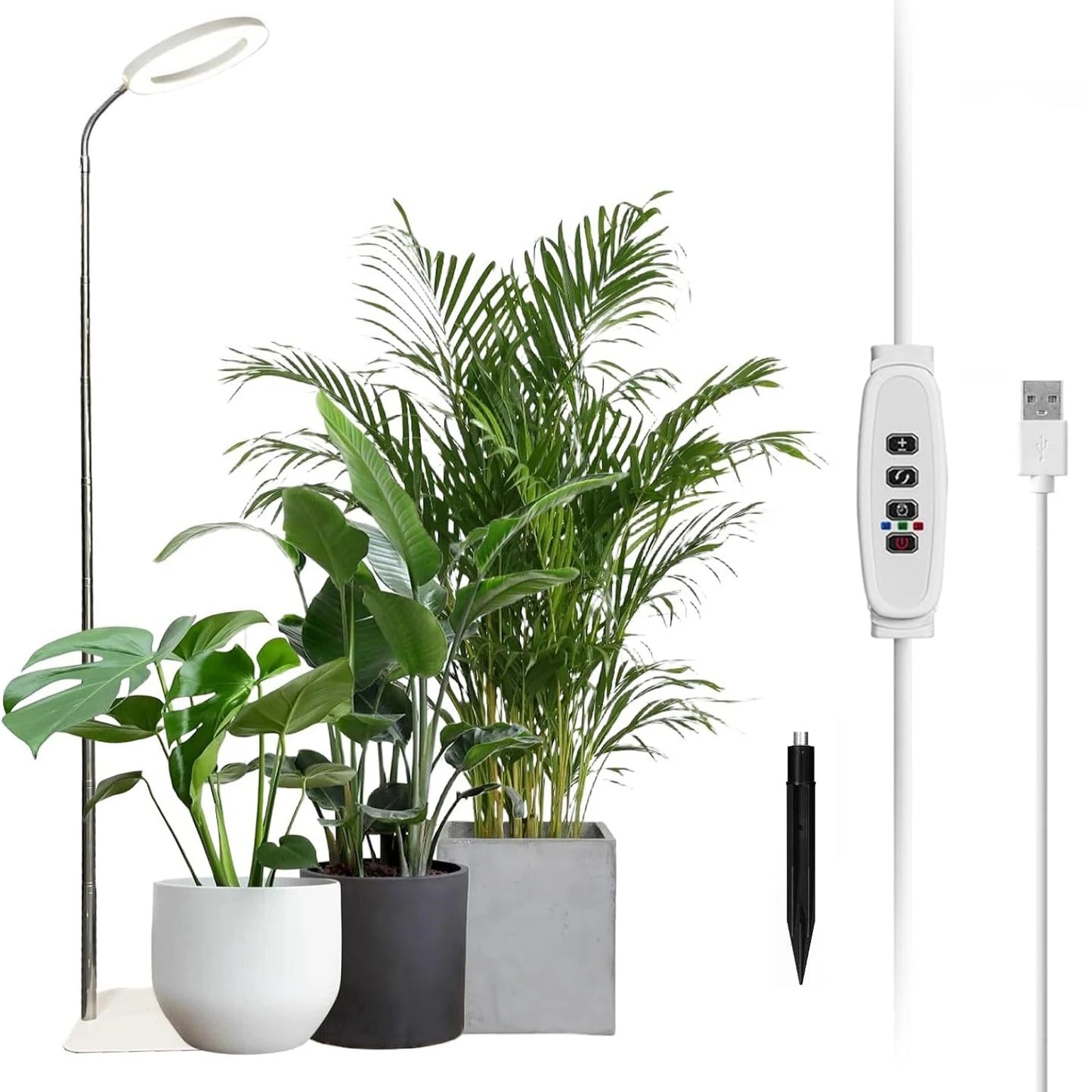 Full Spectrum Halo Plants & Floor Lamp