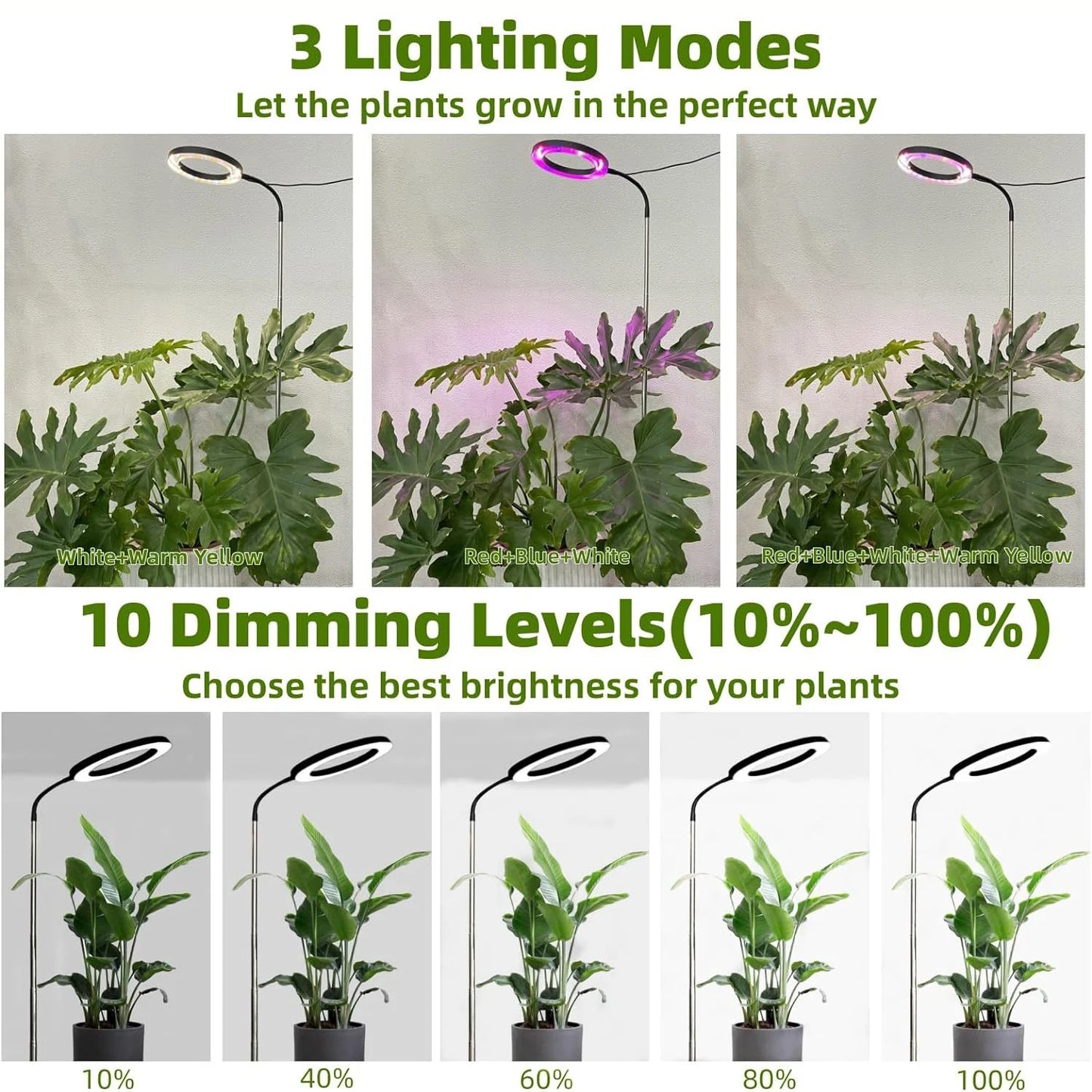Full Spectrum Halo Plants & Floor Lamp