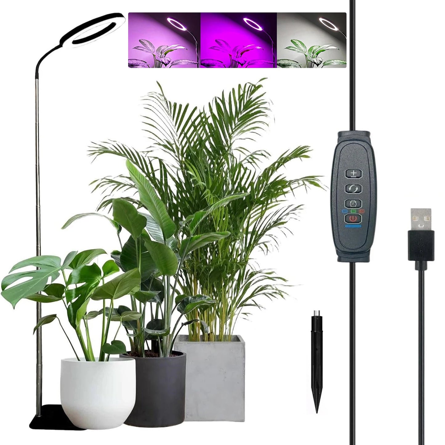 Full Spectrum Halo Plants & Floor Lamp